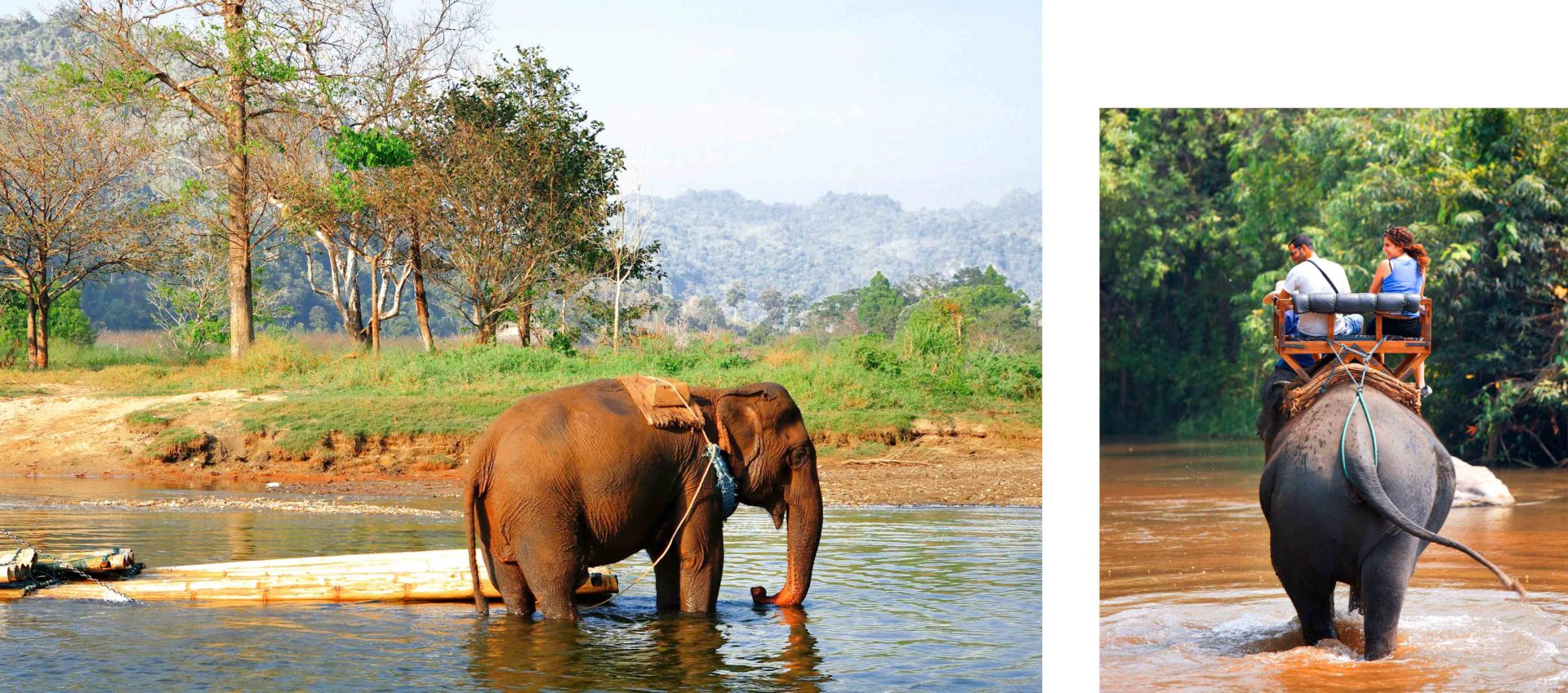 por-que-nao-andar-de-elefante-na-tailandia