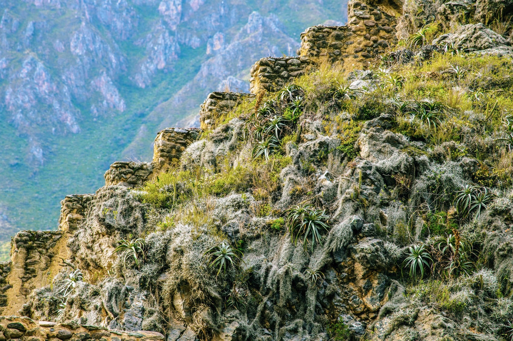 degraus em ollantaytambo, vale sagrado, peru