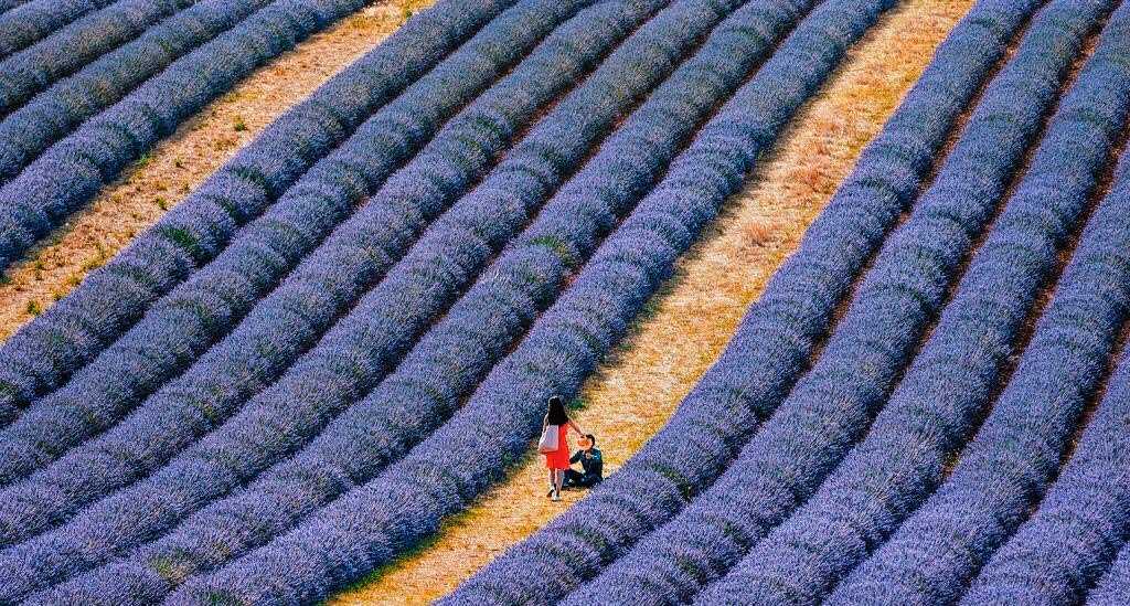 provence-viagem-carro