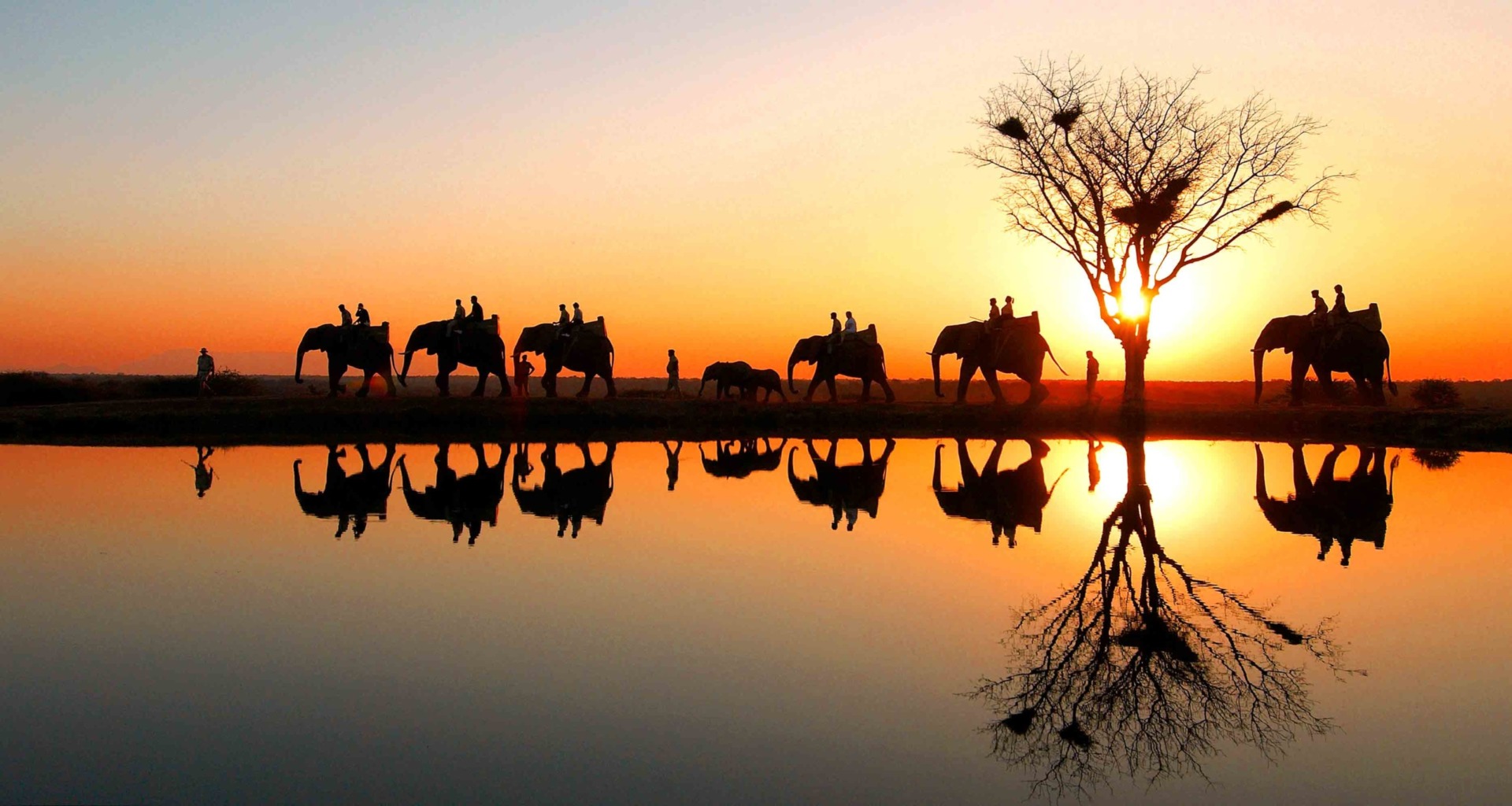 rota-jardim-africa