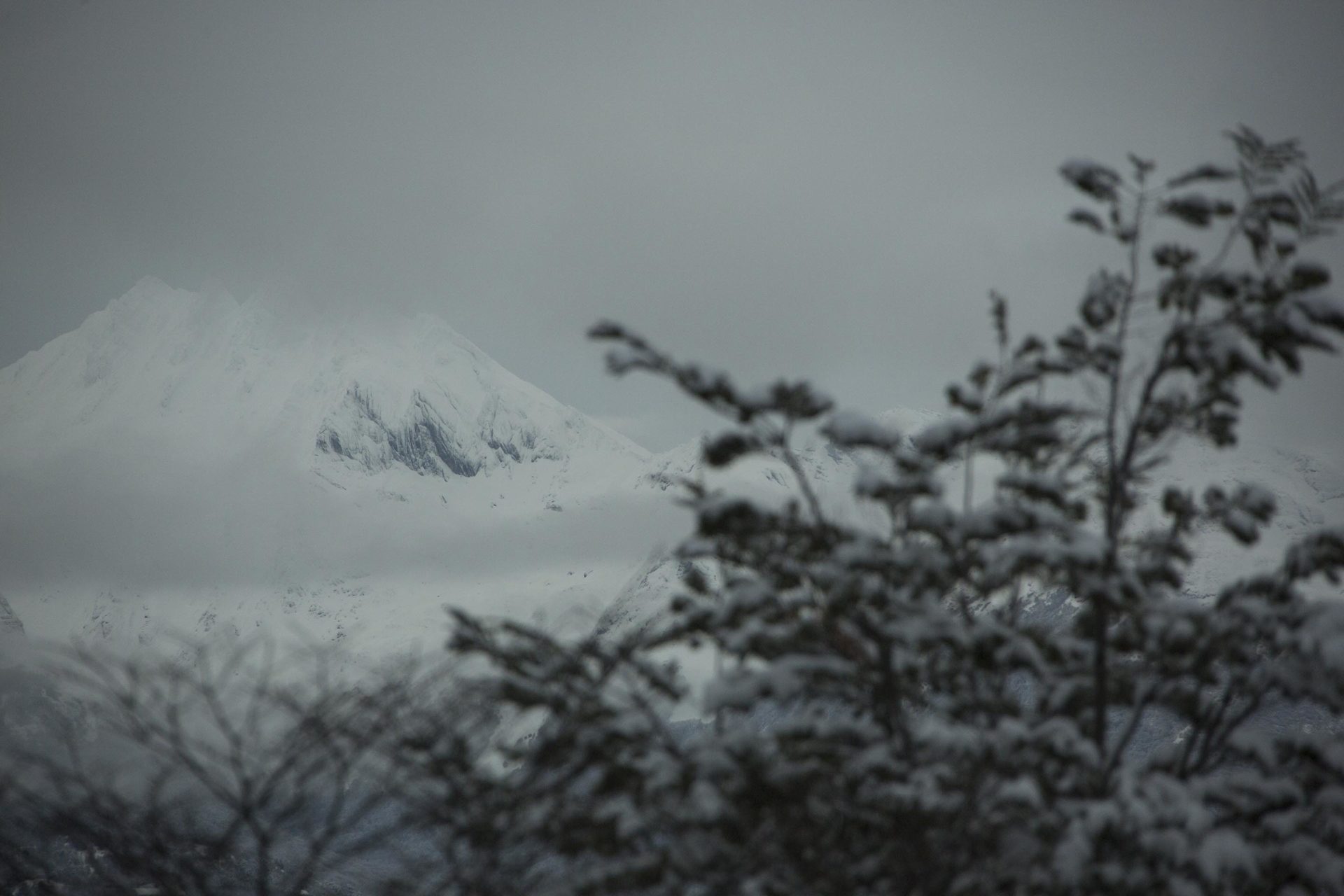 parque nacional tierra del fuego