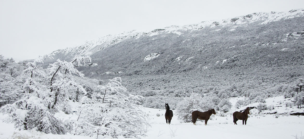 parque nacional tierra del fuego