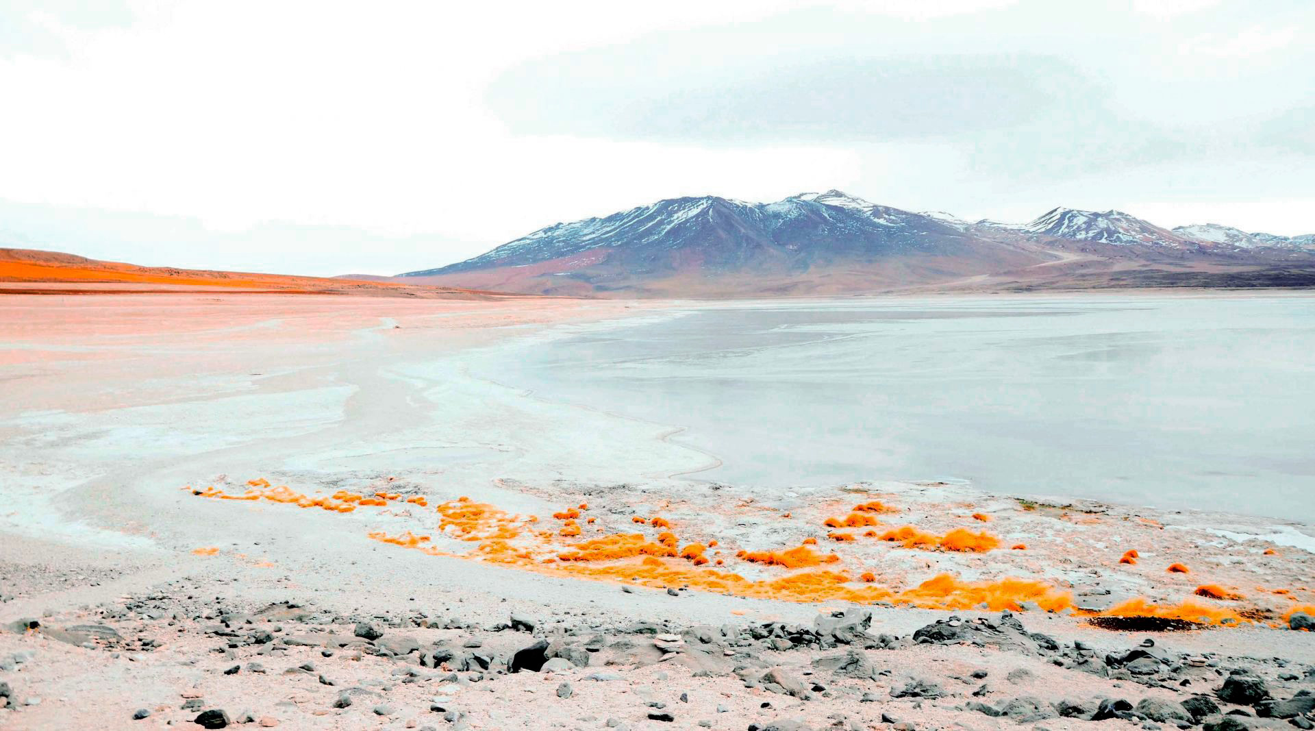 Laguna Blanca, com tons alaranjados, na Bolívia