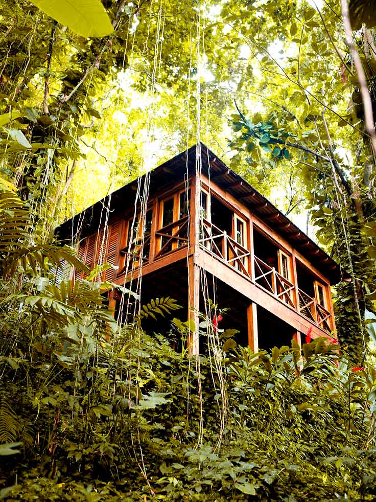 jamaica-kanopi-house