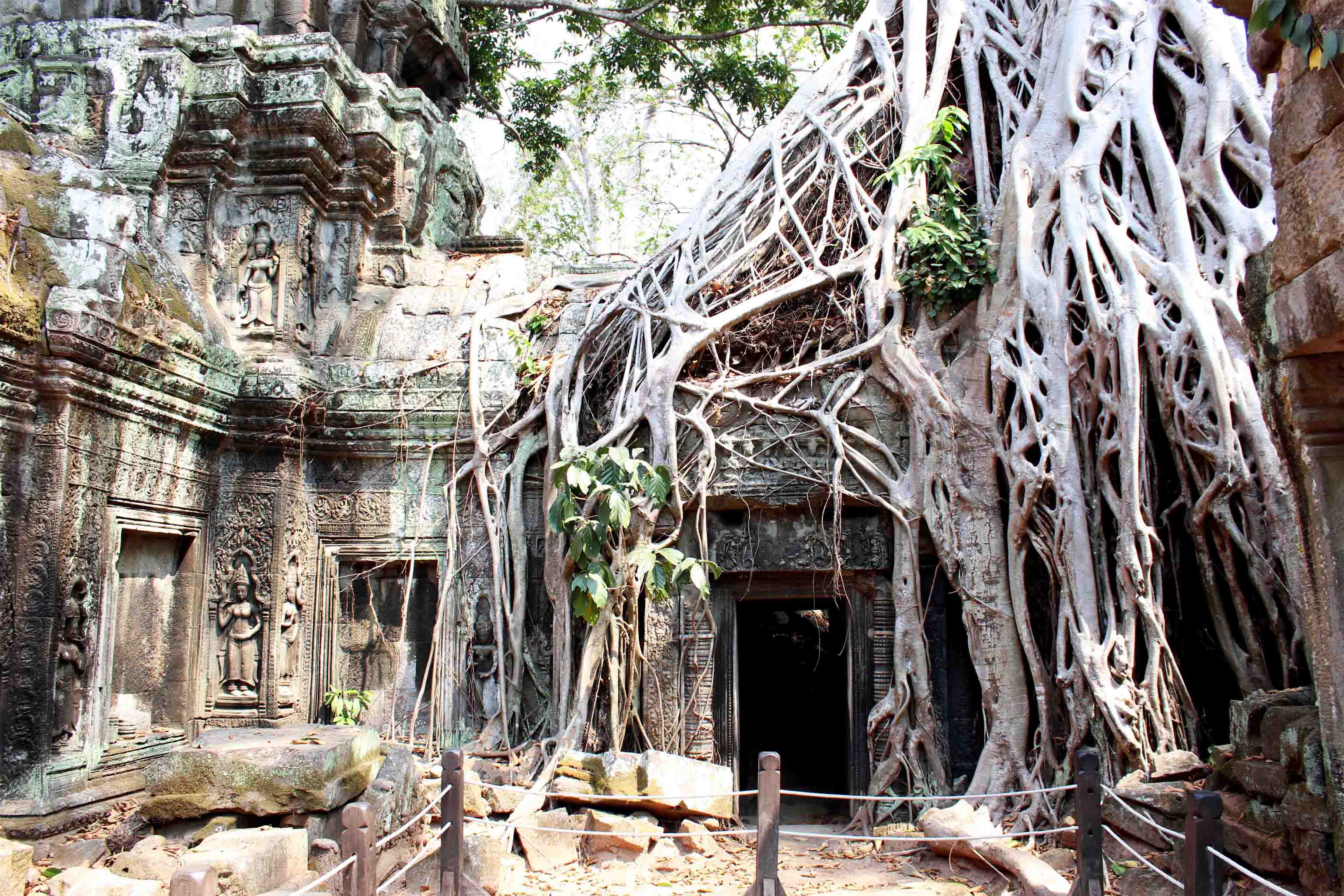 Ta-Prohm