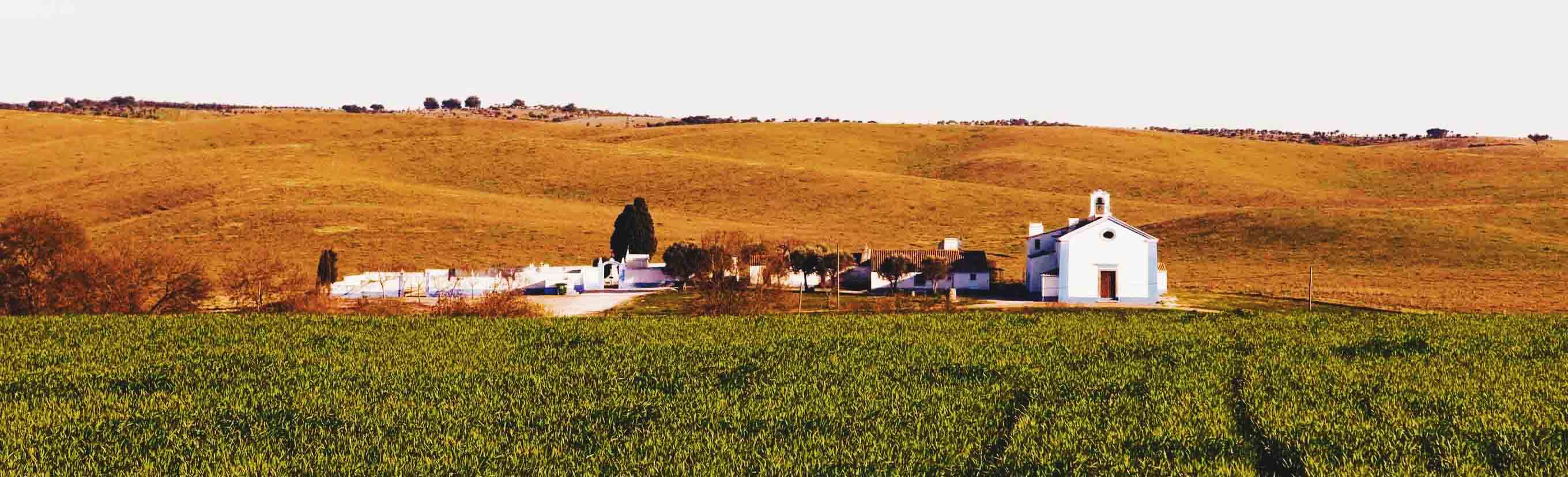 campos-alentejo