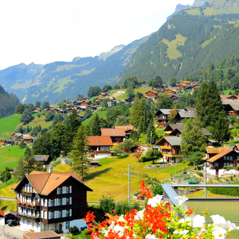 grindelWALD