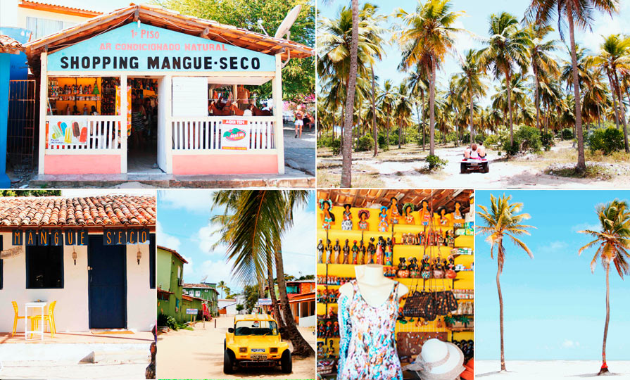 mangue-seco