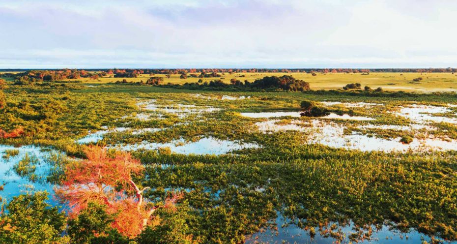 pantanal-norte