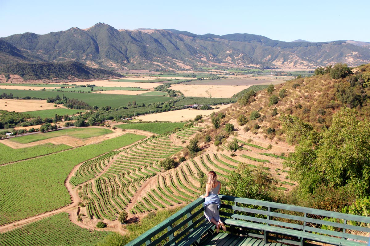 vina-santa-cruz-colchagua (1)