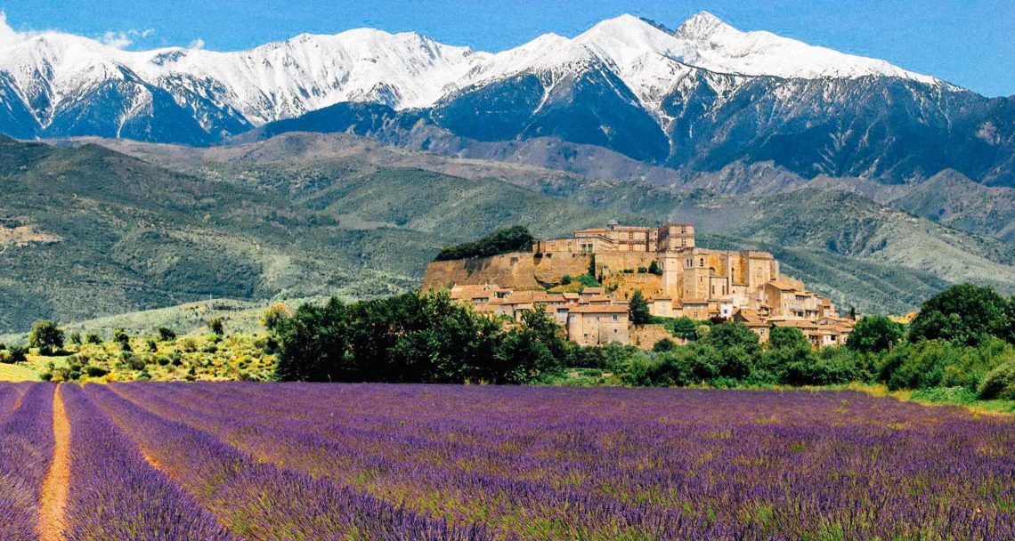 7 campos de lavanda para conhecer pelo mundo - Carpe Mundi