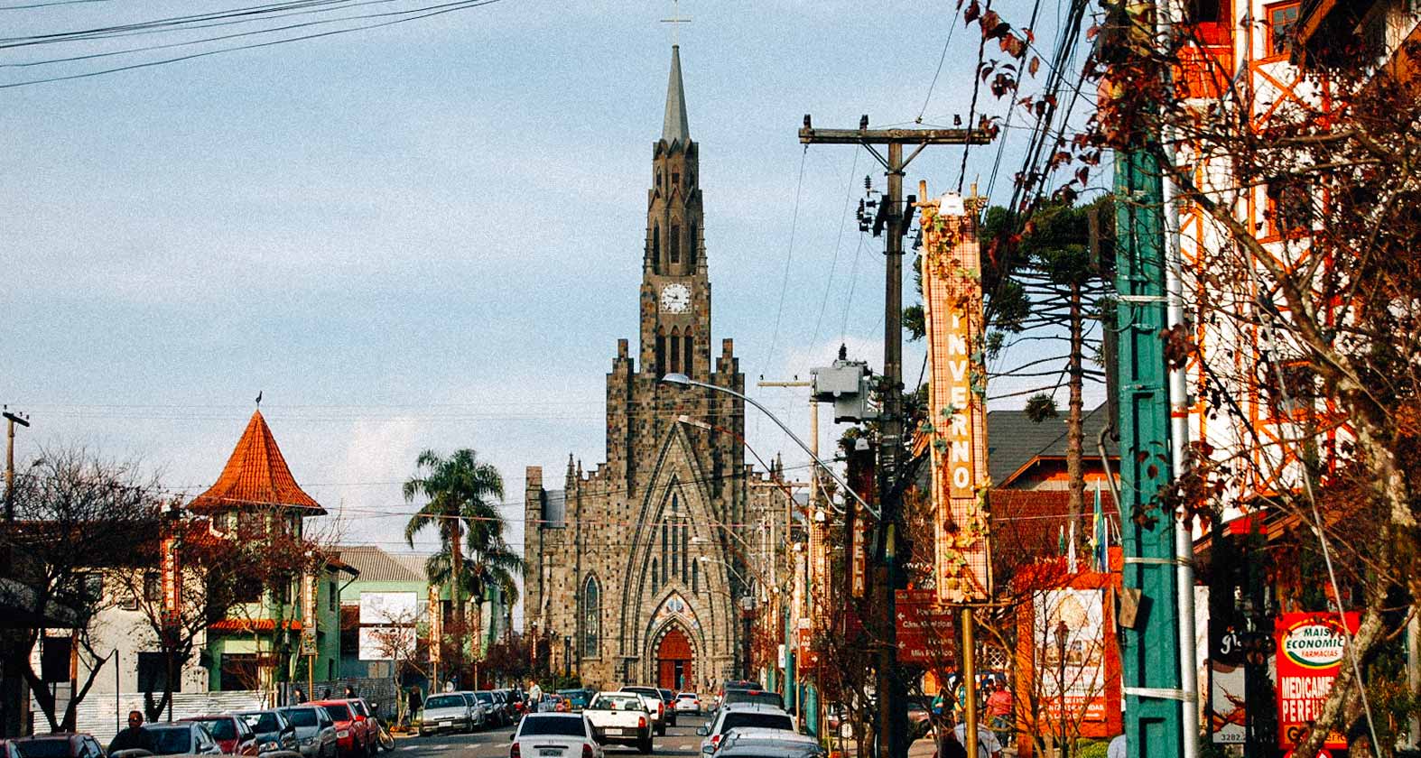 canela-serra-gaucha