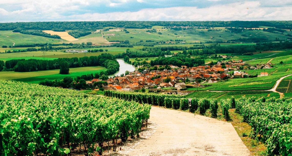 Como conhecer a Rota do Champagne, na França - Carpe Mundi