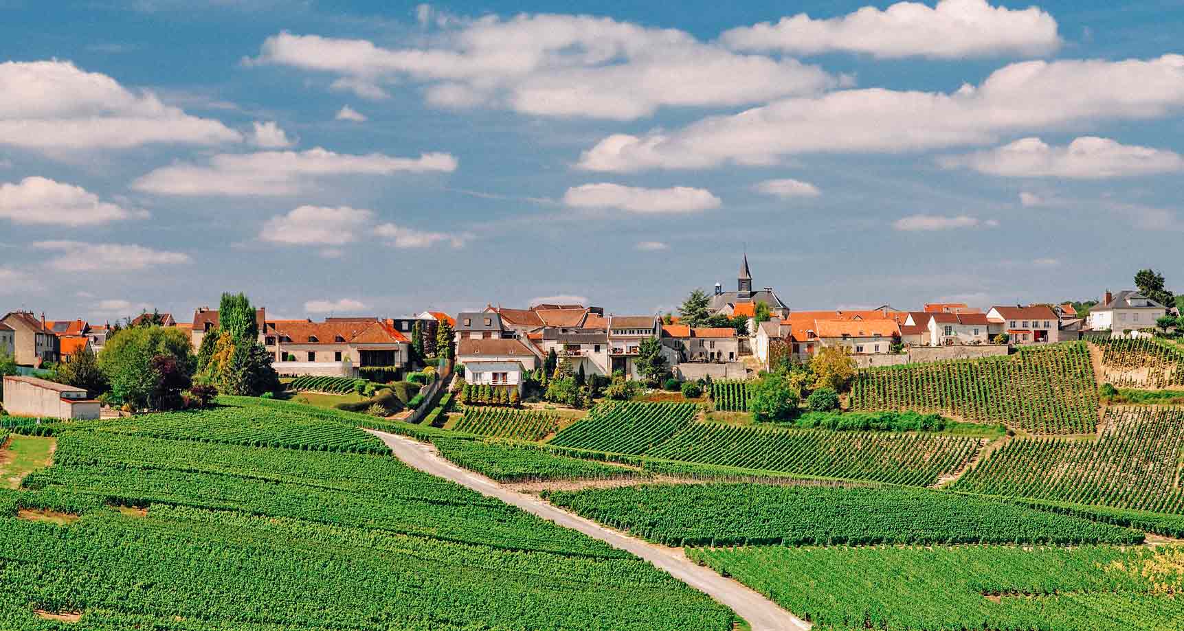 Como conhecer a Rota do Champagne, na França: de Reims a Épernay