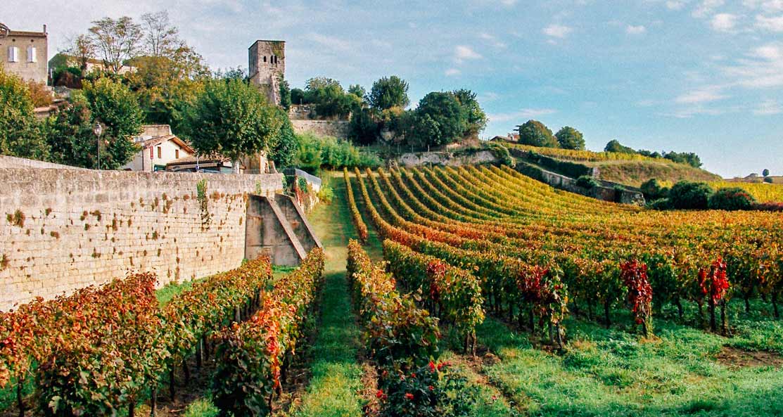 Saint-Emilion-vinhedos