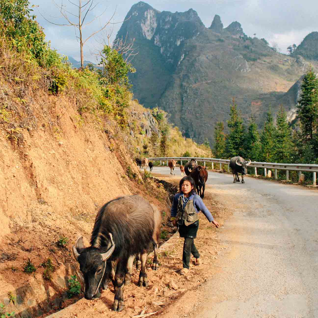 ha-giang-vietna (5)