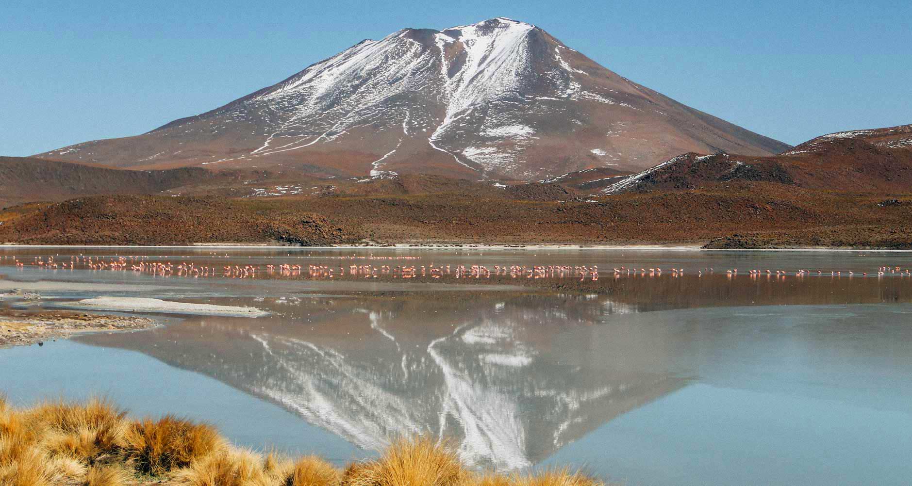 deserto-uyuni-flamingos