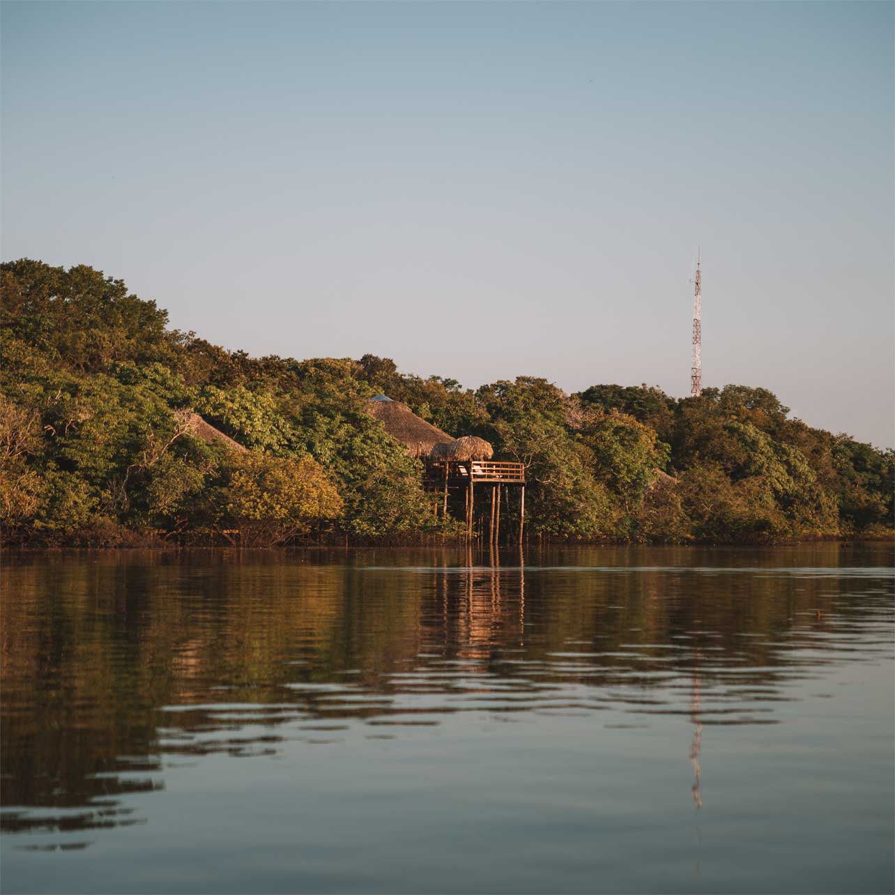 juma-amazon-lodge-amazonia