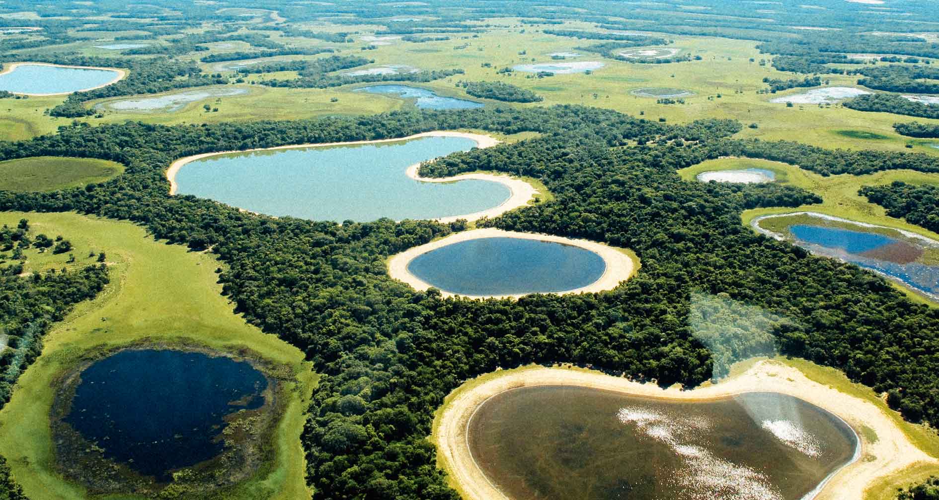 Passeios no Pantanal: por que fazer cavalgada no cerrado do Mato Grosso? -  Rede de Hotéis Mato Grosso