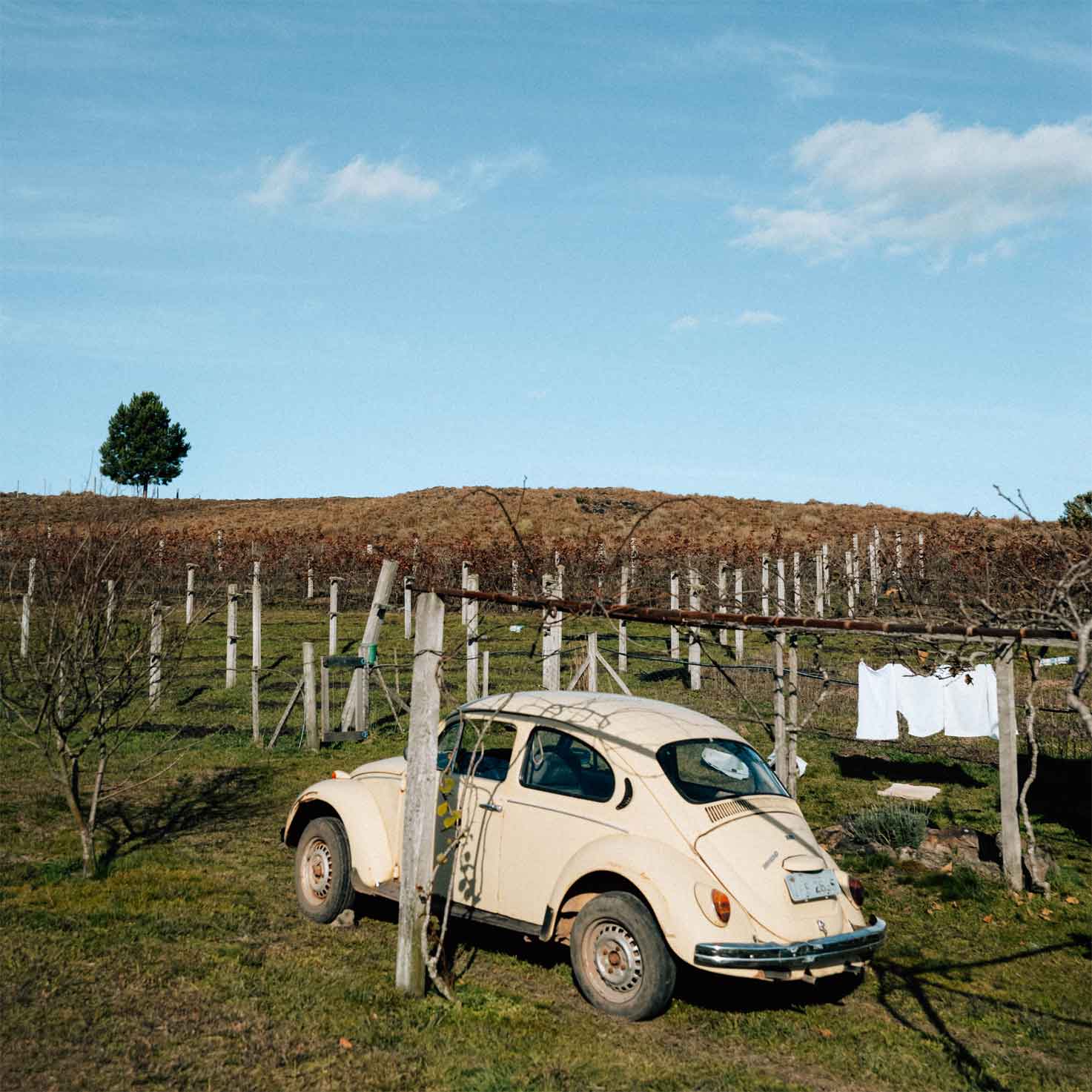 turismo-cambara-do-sul