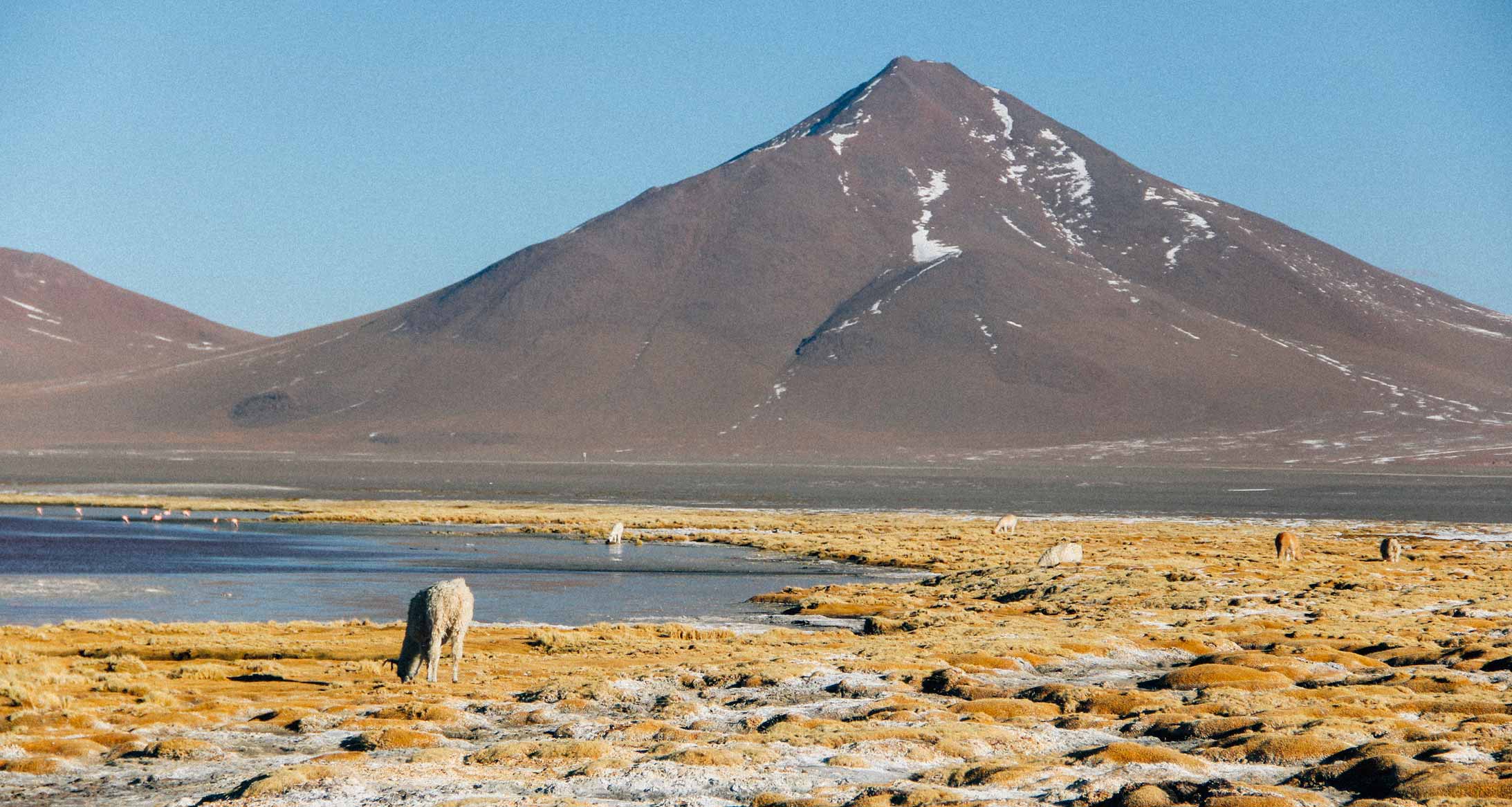 salar-uyuni-laguna-colorada