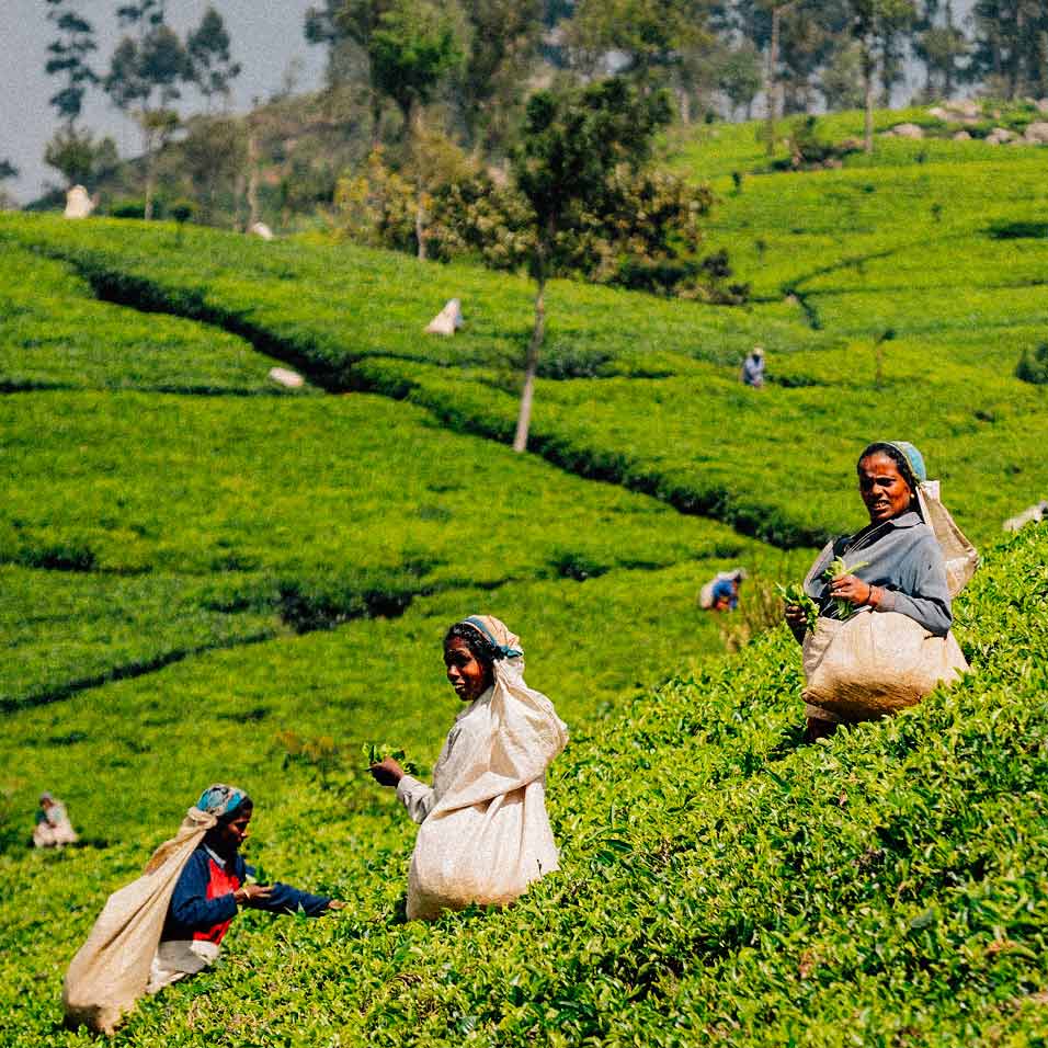 sri-lanka