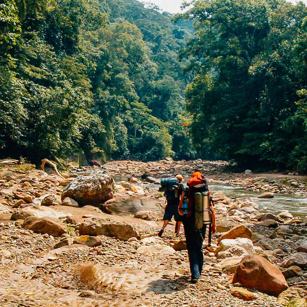 amboro-national-park