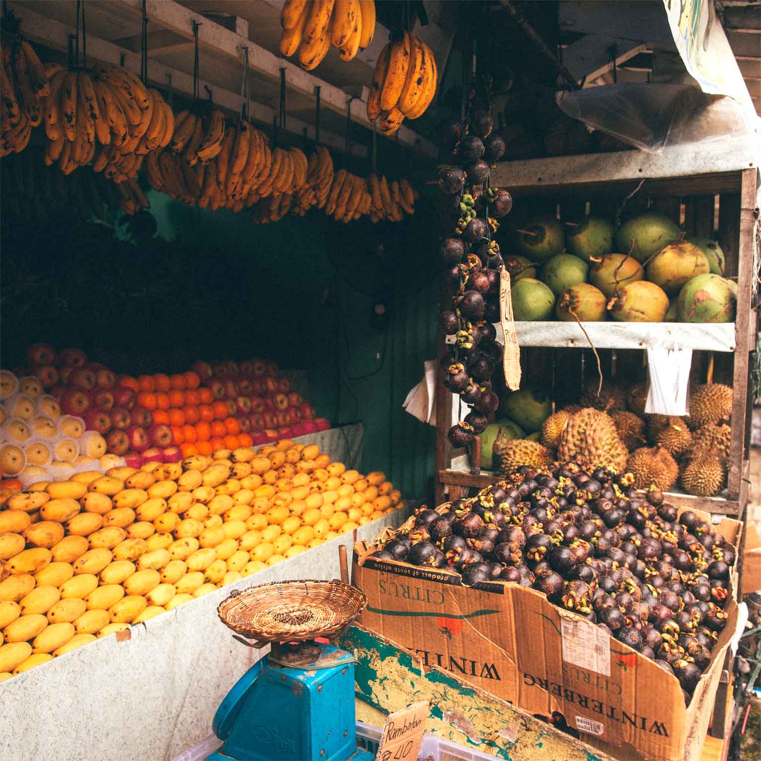 filipinas-roteiro