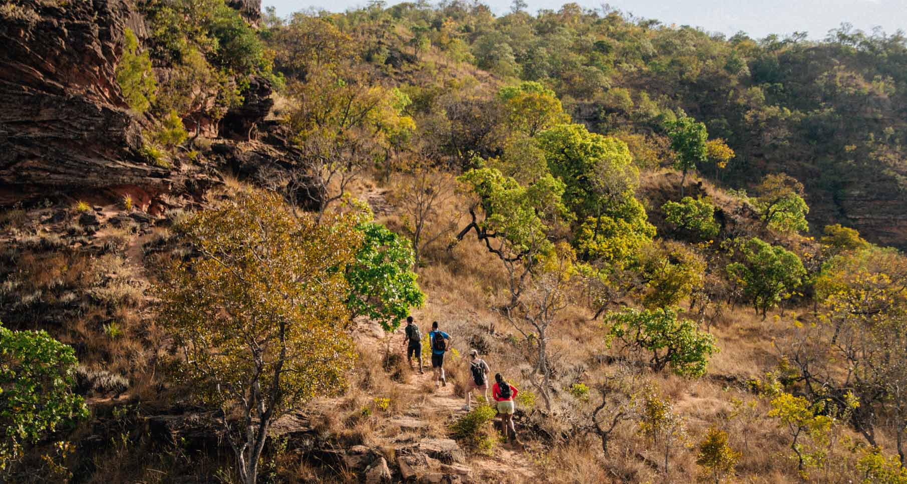 Quatro pessoas andando pela mata com folhas em tons amarelos do cerrado