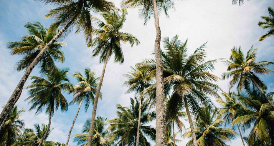 fotos-da-ilha-de-boipeba