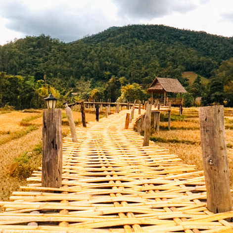 ponte-de-bambu-pai