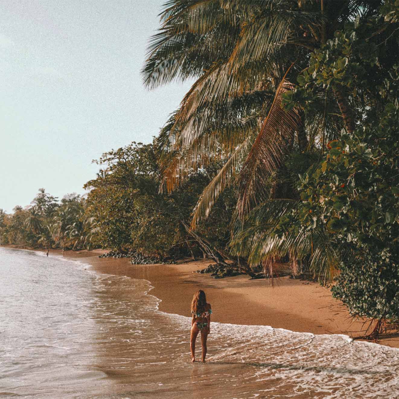 caribe-panama