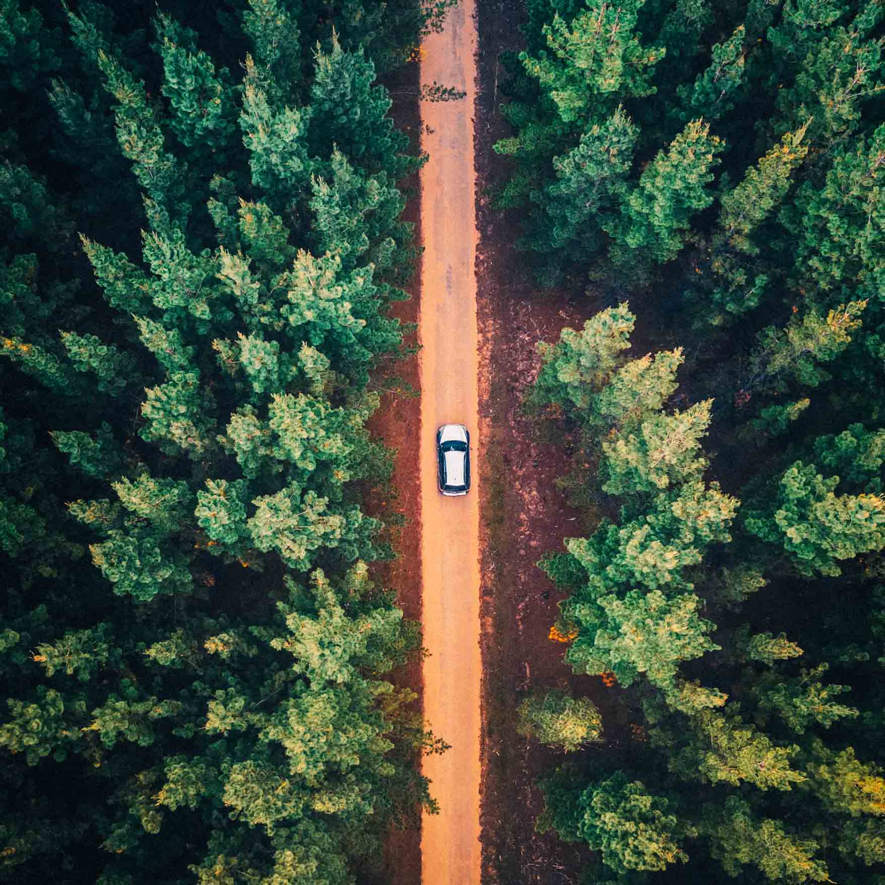 drone-floresta