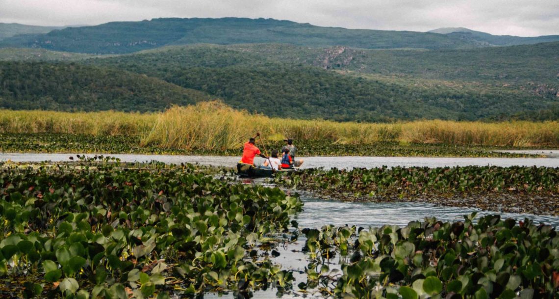 pantanal-marimbus-chapada-diamantina