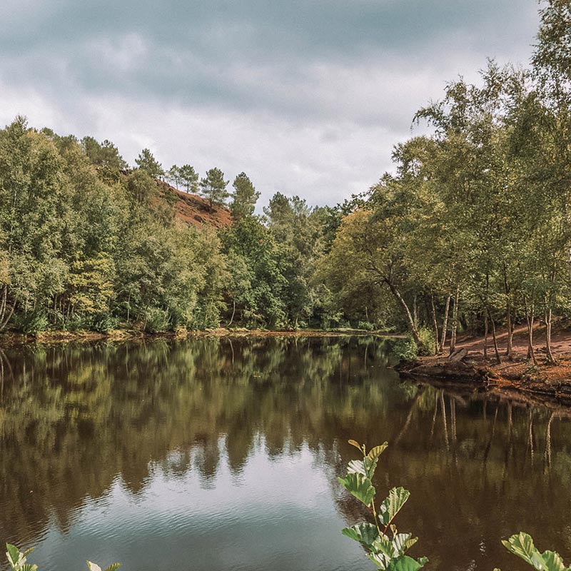 Bretanha França: Fôret de Brocéliande