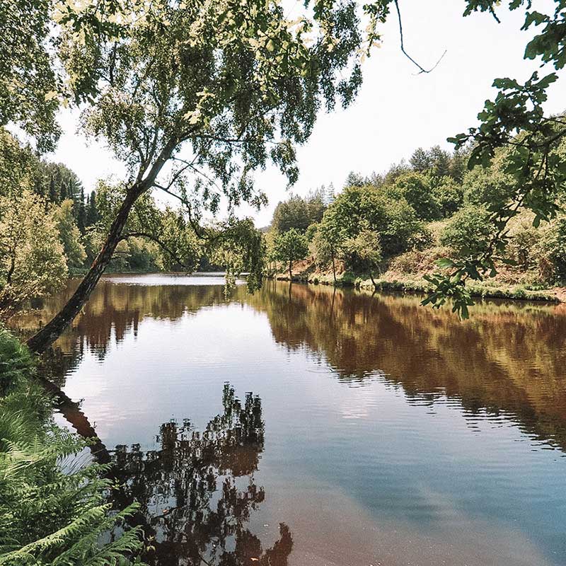 Bretanha França: Fôret de Brocéliande