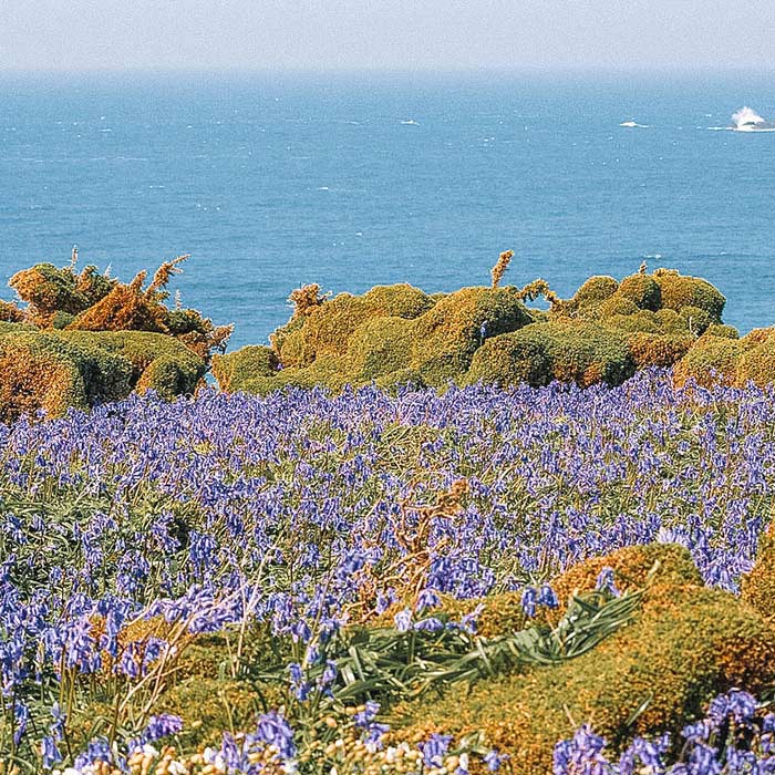 Bretanha França: Golfe du Morbihan