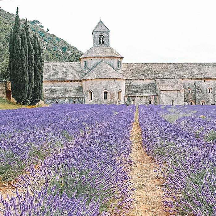 Provence França: Abbaye de Sénanque