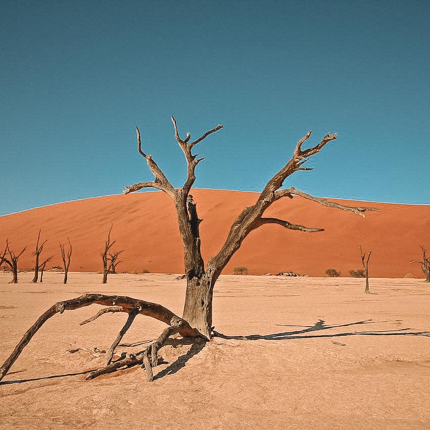 para-onde-viajar-em-agosto-namibia