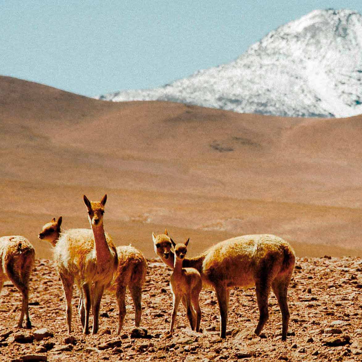 para-onde-viajar-em-marco-atacama