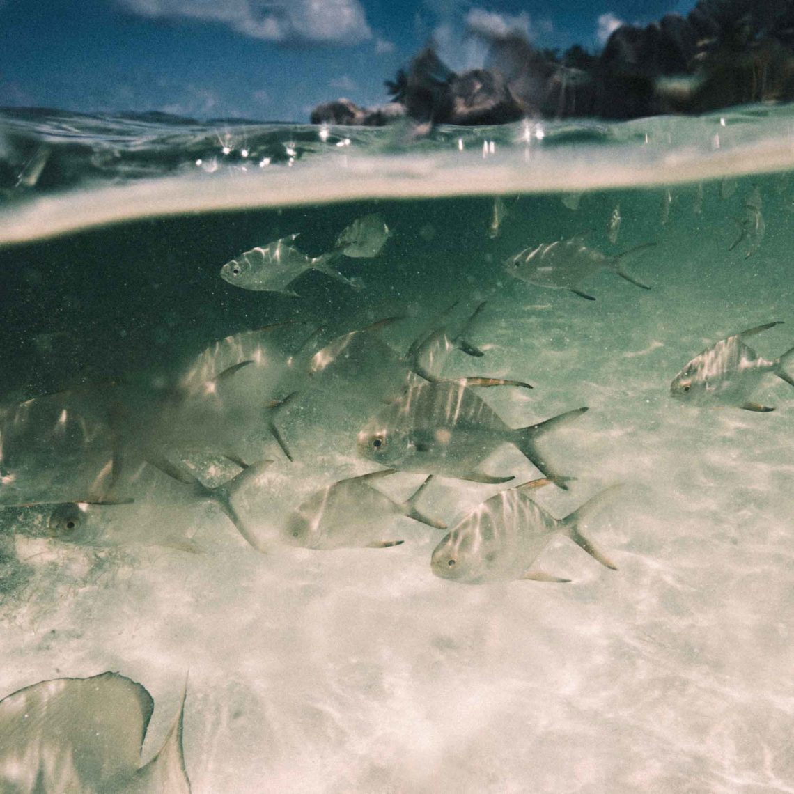 la-digue-ilha-seychelles