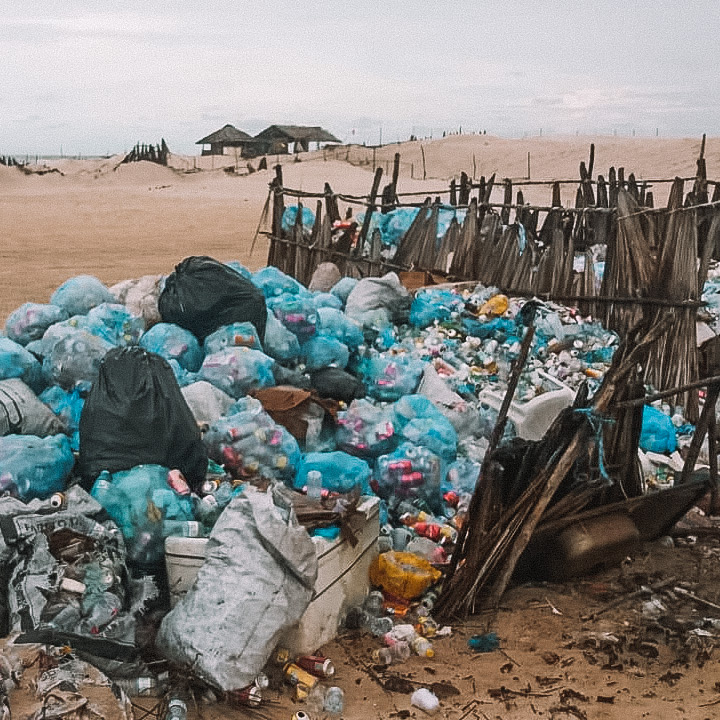 Barreirinhas vence o 1º Concurso de Farinha D'água na Femaf – Zeca