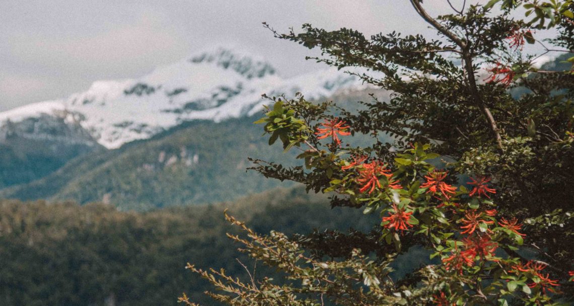 clima-carretera-austral