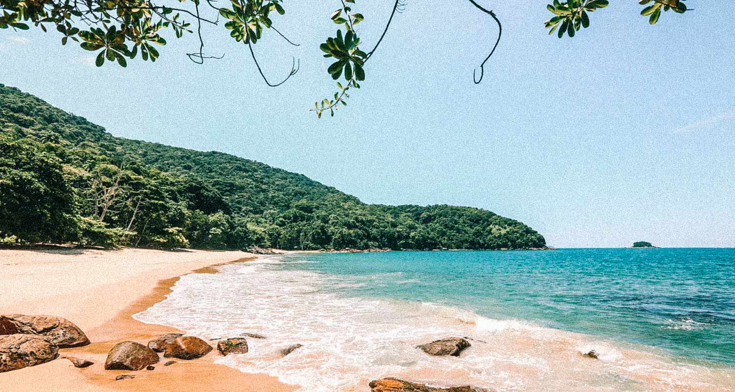 Praia em Ubatuba, Litoral Norte de São Paulo, vazia, com um morro ao fundo e folhas de uma árvore no primeiro plano