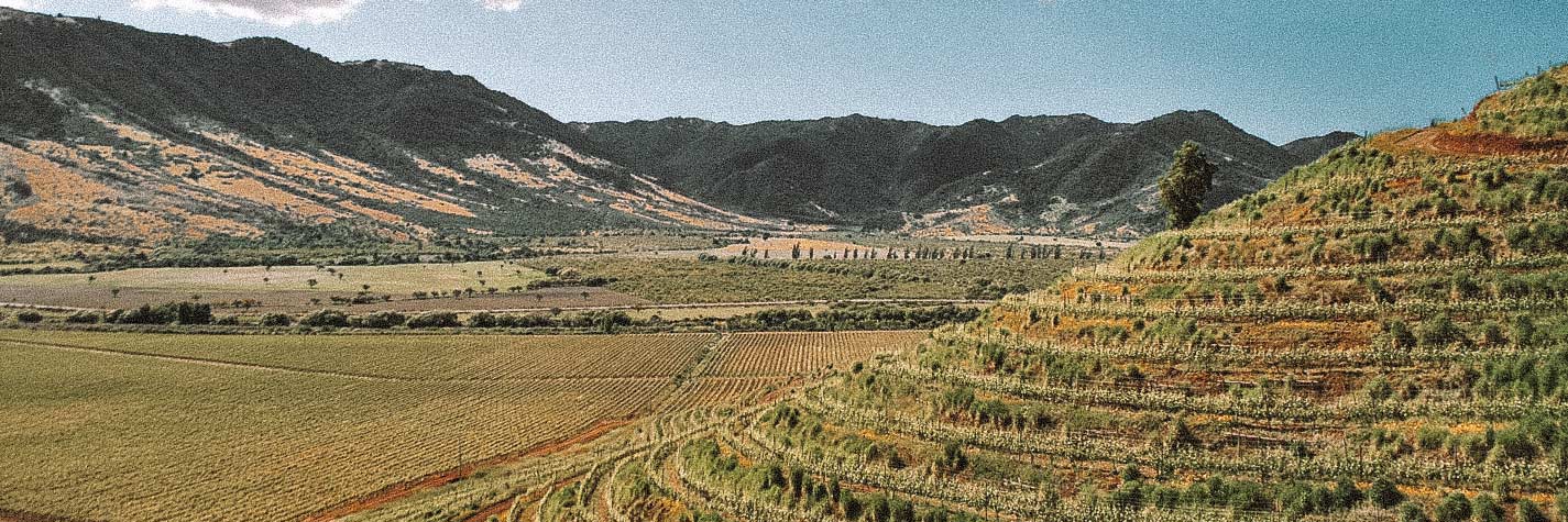 colchagua-chile