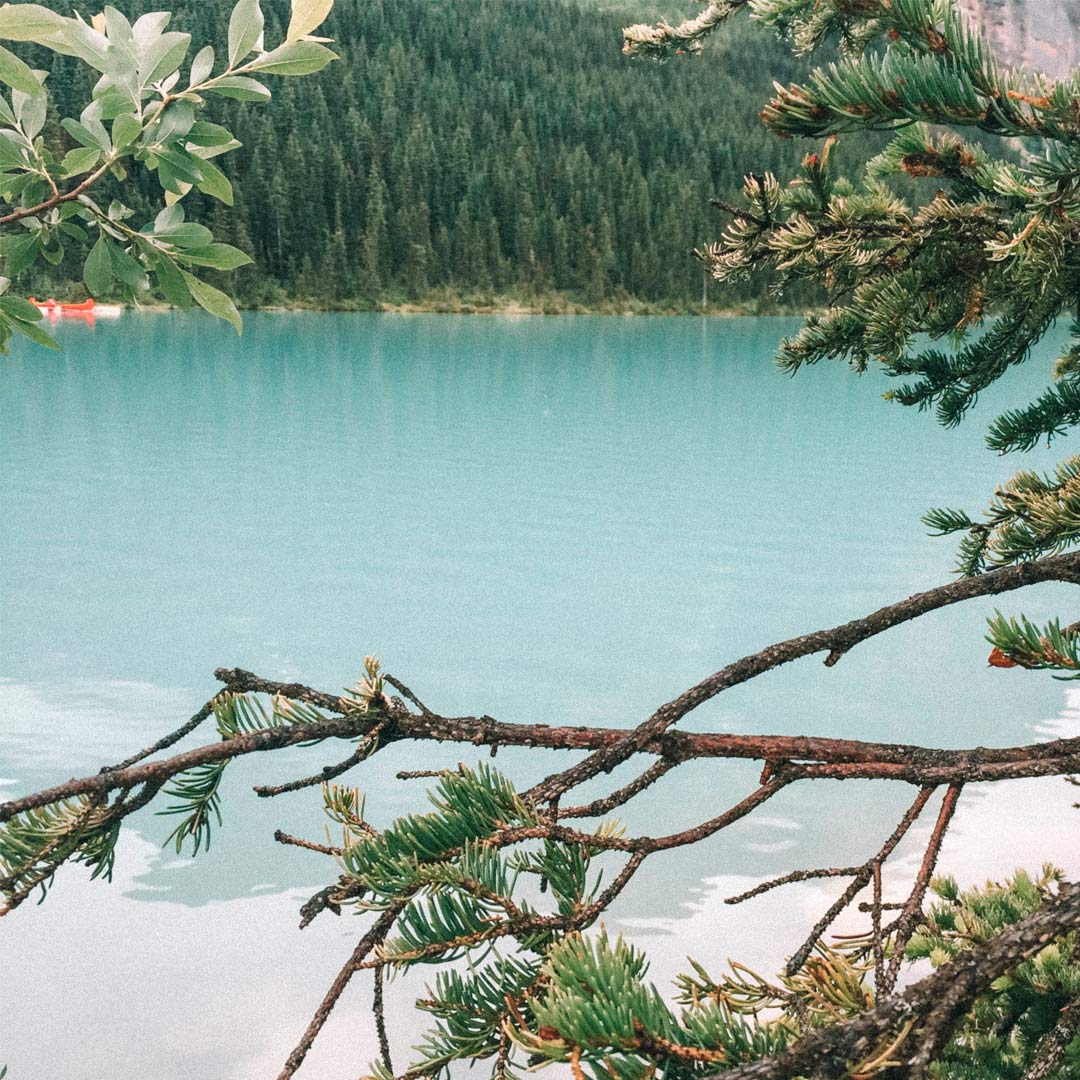 lake-louise-banff