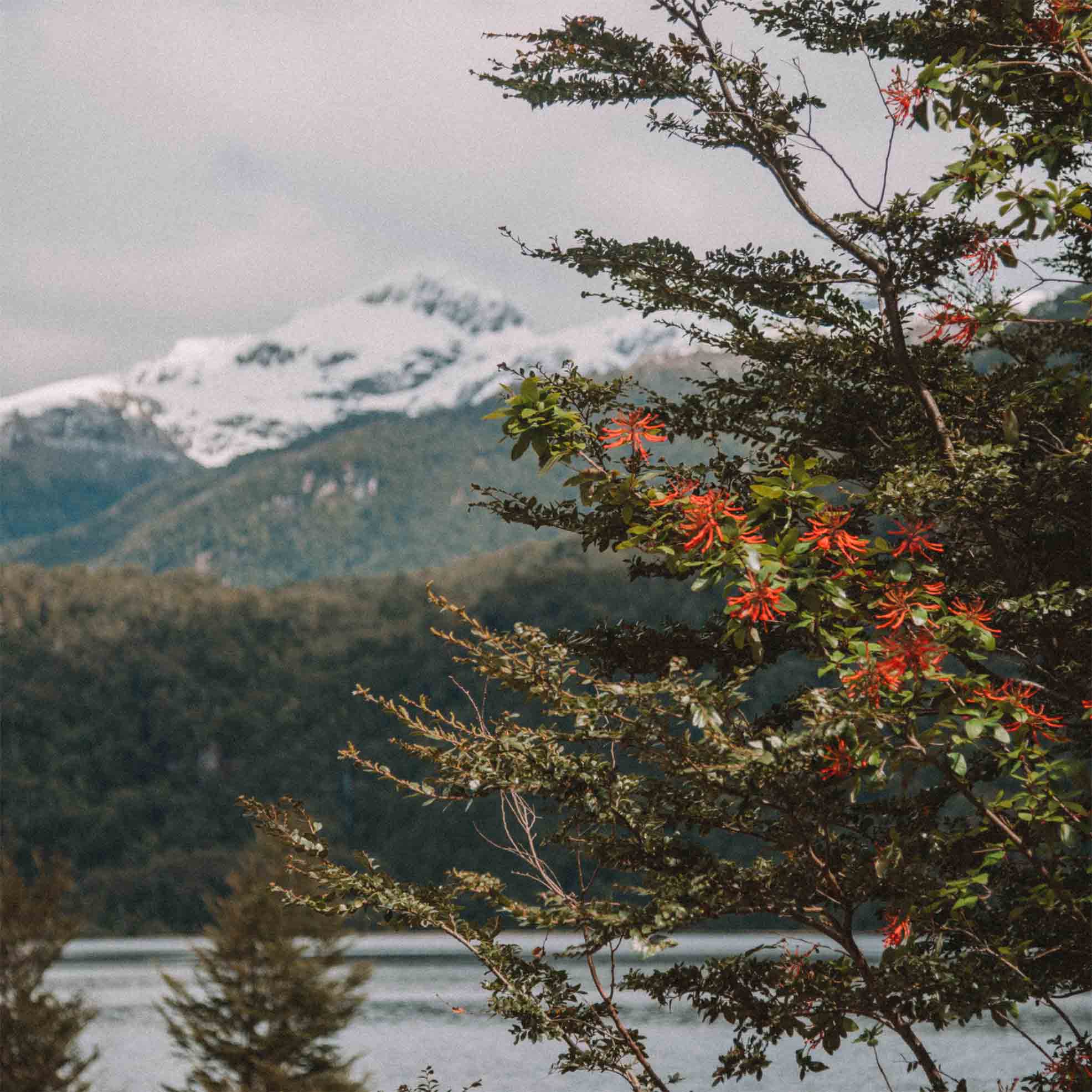 paisagens-carretera-austral-chile