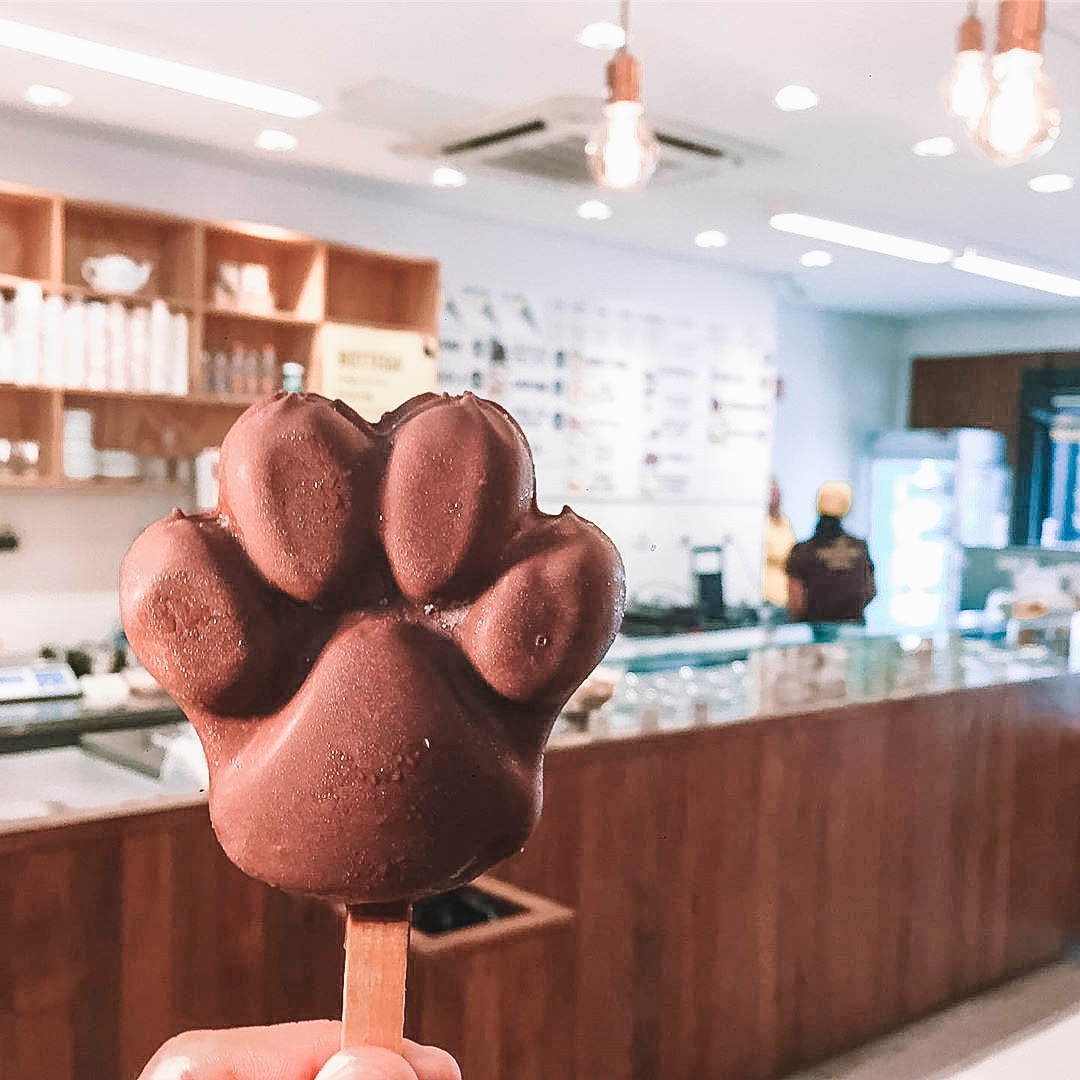 sorveteria-pet-friendly