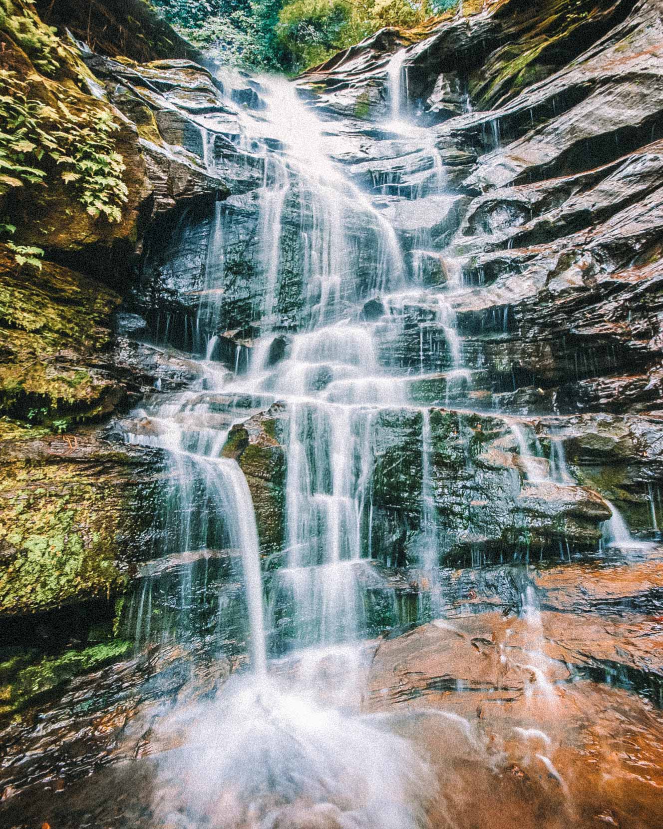 carolina-cachoeira