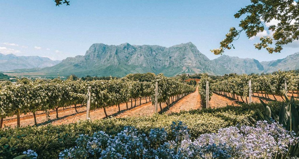 cape-winelands-livro